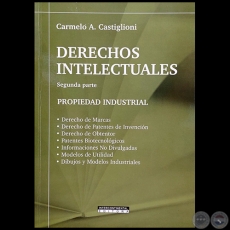 DERECHOS INTETELECTUALES - Segunda parte - Autor: CARMELO AUGUSTO CASTIGLIONI - Año 2021